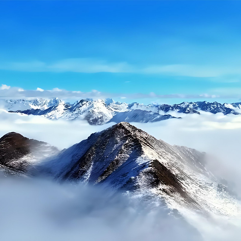 画板 1 拷贝 8-2.jpg 画板 1 拷贝 8-2.jpg