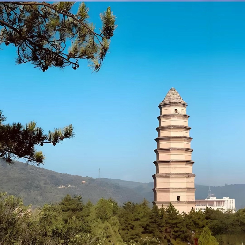 画板 1 拷贝 12.jpg 画板 1 拷贝 12.jpg