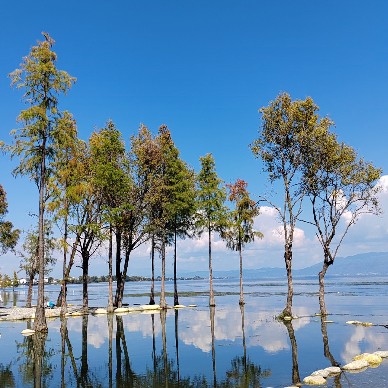 画板 1 拷贝 2.jpg 画板 1 拷贝 2.jpg