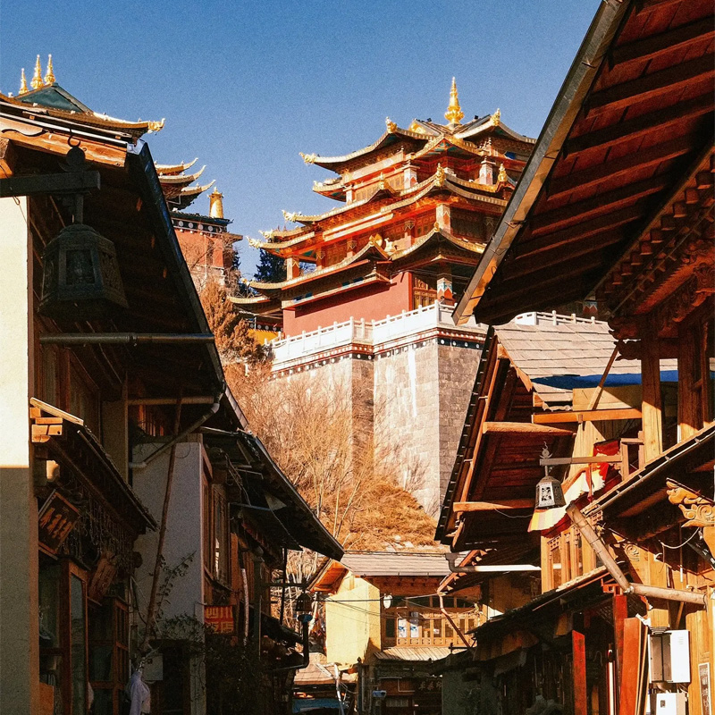 画板 1 拷贝 2-1.jpg 画板 1 拷贝 2-1.jpg