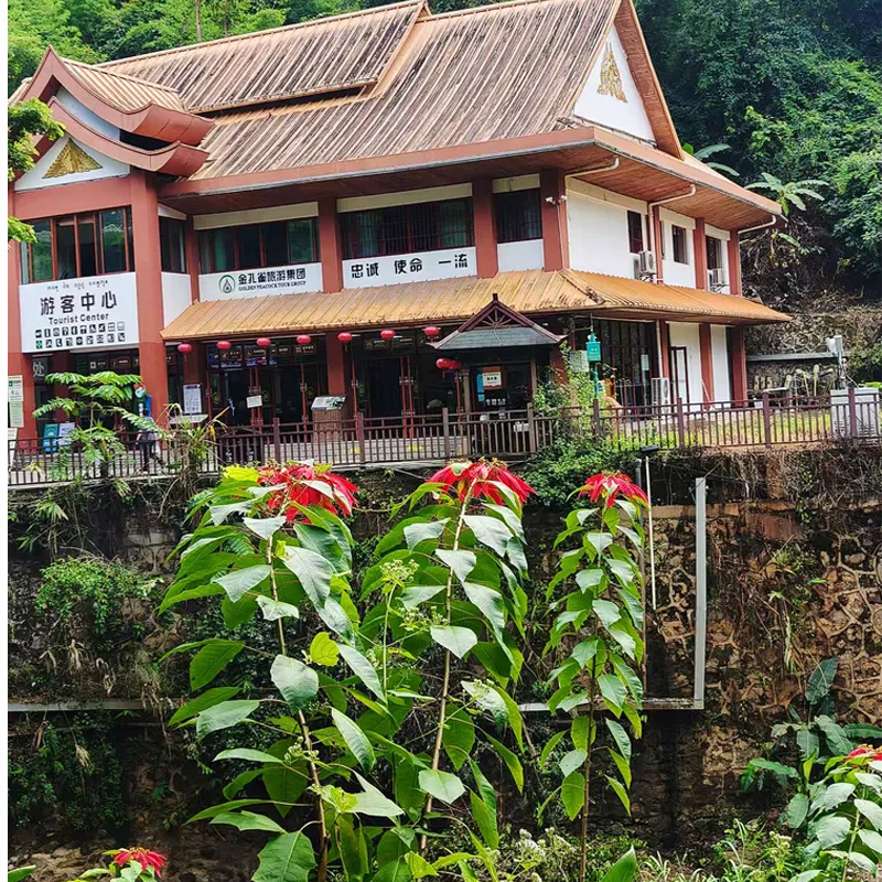 画板 1 拷贝 5-3.jpg 画板 1 拷贝 5-3.jpg