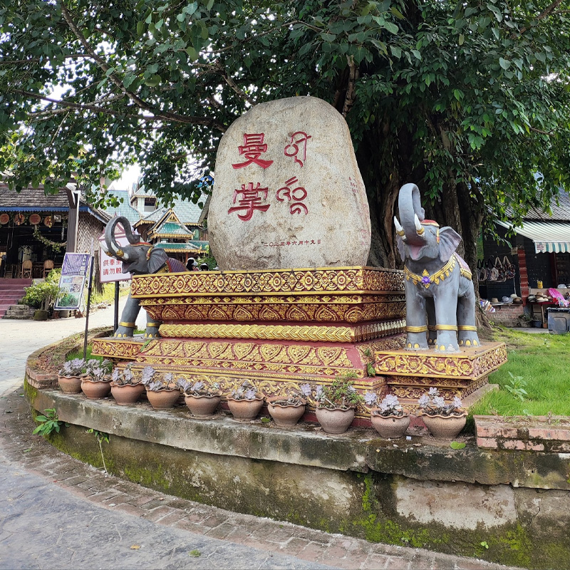 画板 1 拷贝 6-1.jpg 画板 1 拷贝 6-1.jpg