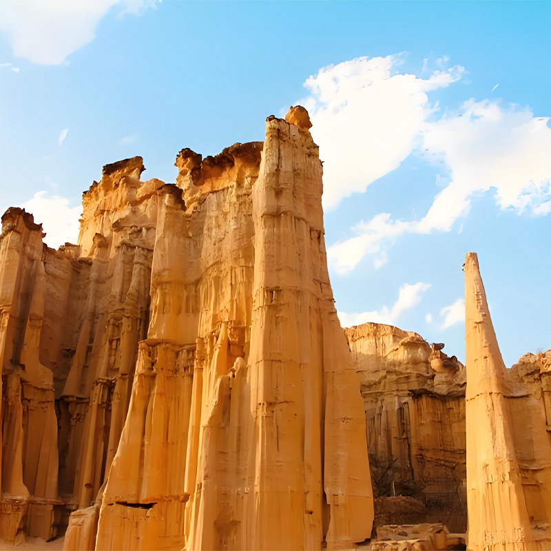 画板 1 拷贝 9.jpg 画板 1 拷贝 9.jpg