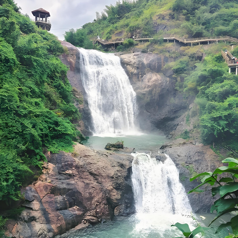 画板 1.jpg 画板 1.jpg