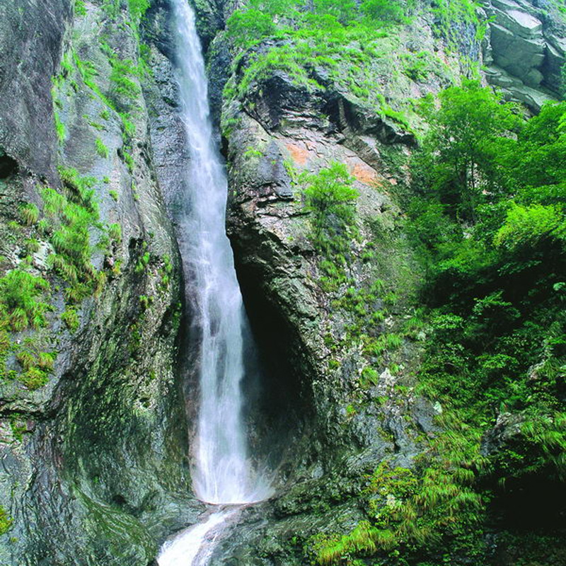 画板 1 拷贝 2.jpg 画板 1 拷贝 2.jpg