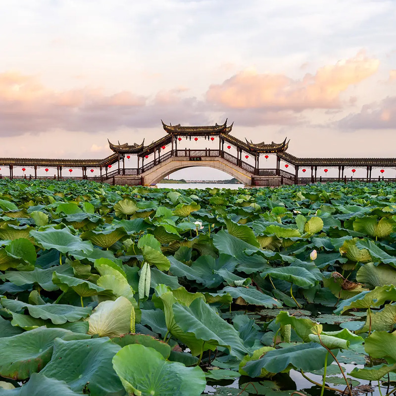 画板 1 拷贝 2.jpg