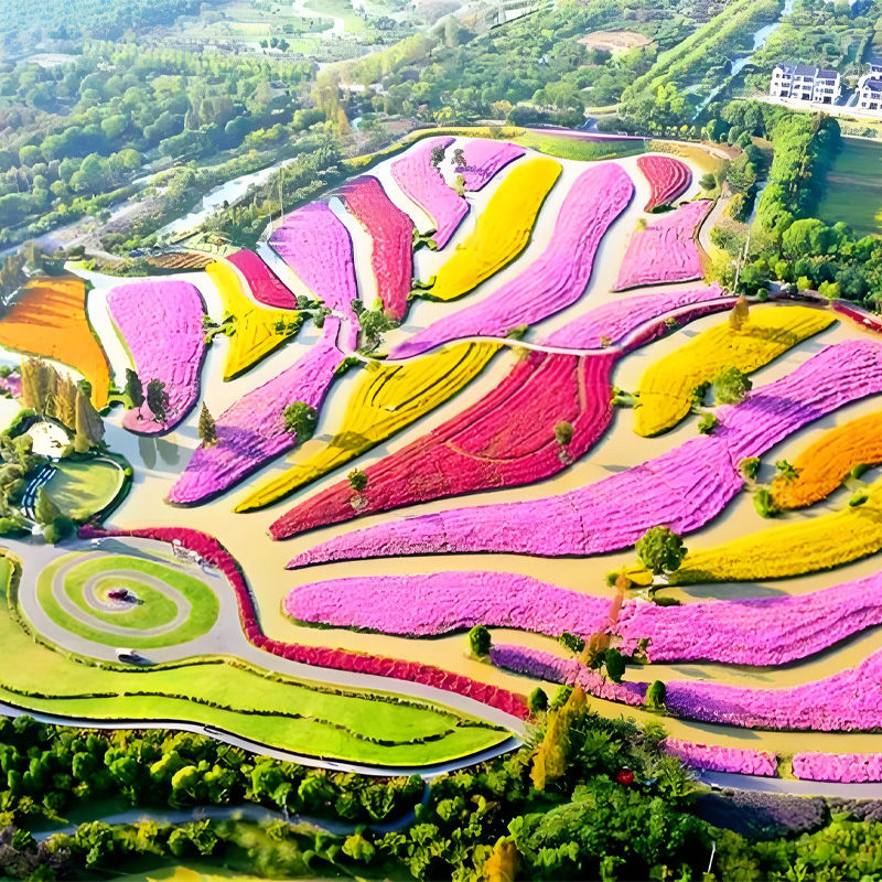 画板 1 拷贝 2.jpg