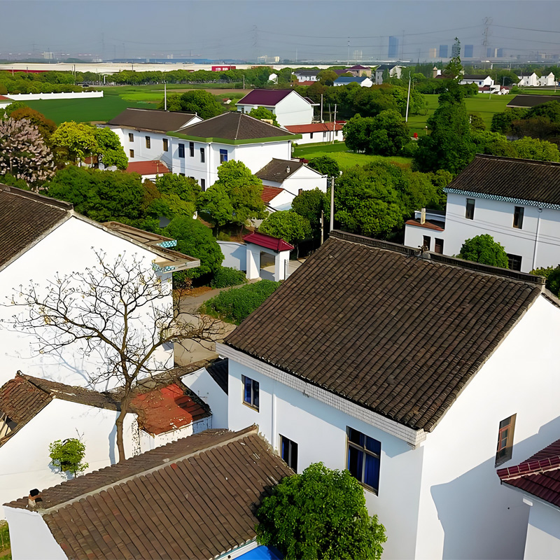 画板 1 拷贝 2.jpg