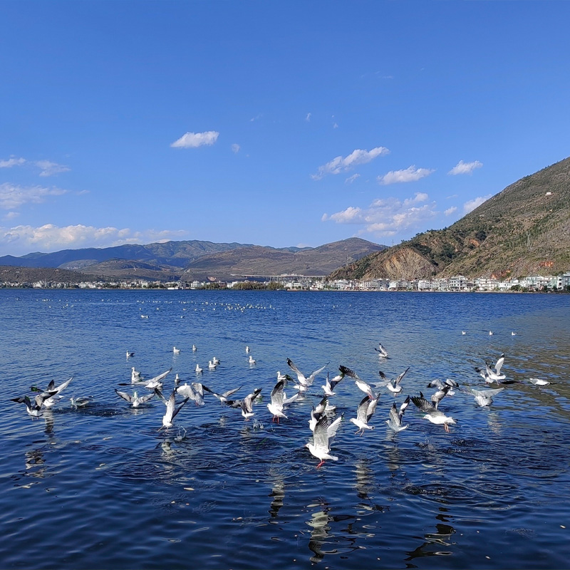 画板 1.jpg 画板 1.jpg