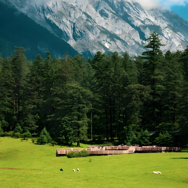 画板 1 拷贝 2-1.jpg 画板 1 拷贝 2-1.jpg