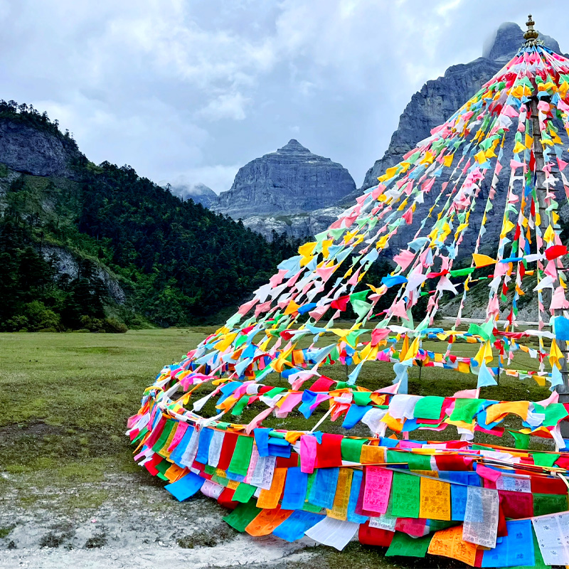 画板 1 拷贝 4-1.jpg 画板 1 拷贝 4-1.jpg