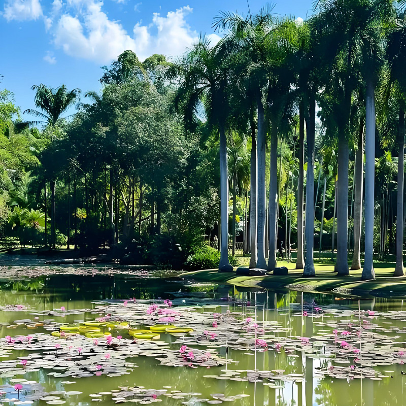 画板 1 拷贝 5-2.jpg 画板 1 拷贝 5-2.jpg