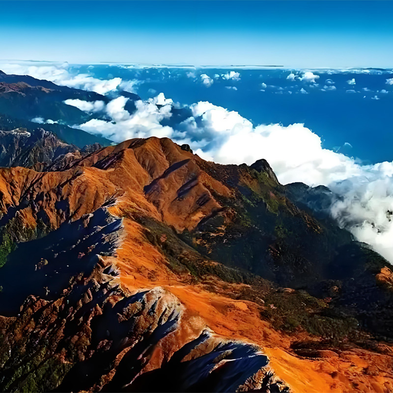 画板 1 拷贝 6.jpg 画板 1 拷贝 6.jpg