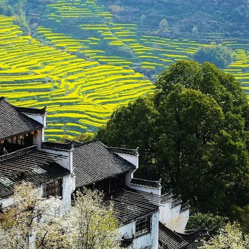 江西定制游.jpg 江西定制游.jpg