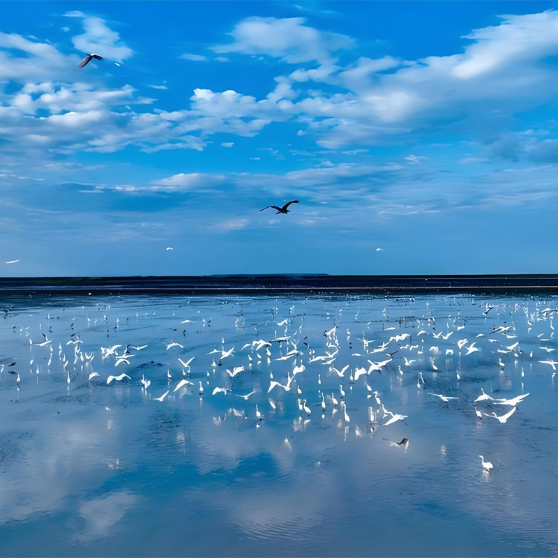 画板 1 拷贝 2.jpg 画板 1 拷贝 2.jpg