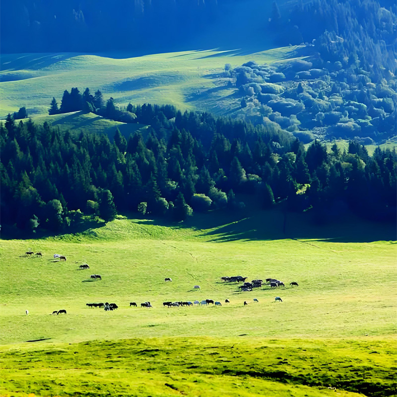 画板 1 拷贝 4-1.jpg