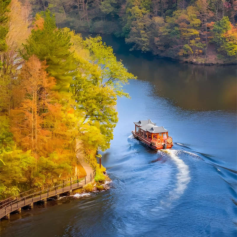 画板 1 拷贝 3.jpg