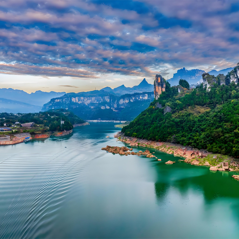 画板 1 拷贝 4.jpg