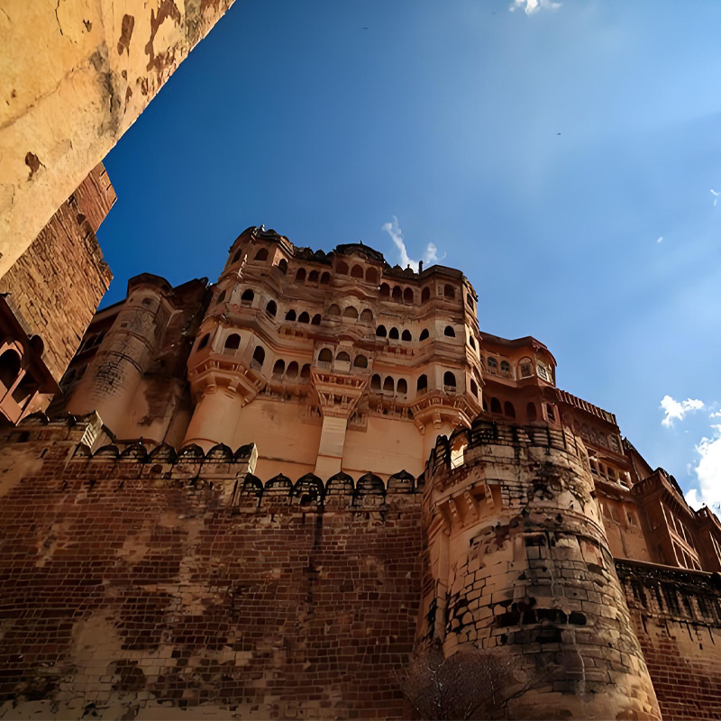 画板 1 拷贝 3-3.jpg