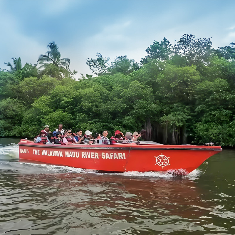 画板 1 拷贝 2-1.jpg