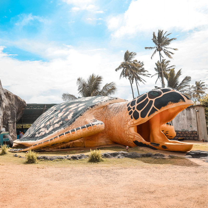 画板 1 拷贝 3.jpg