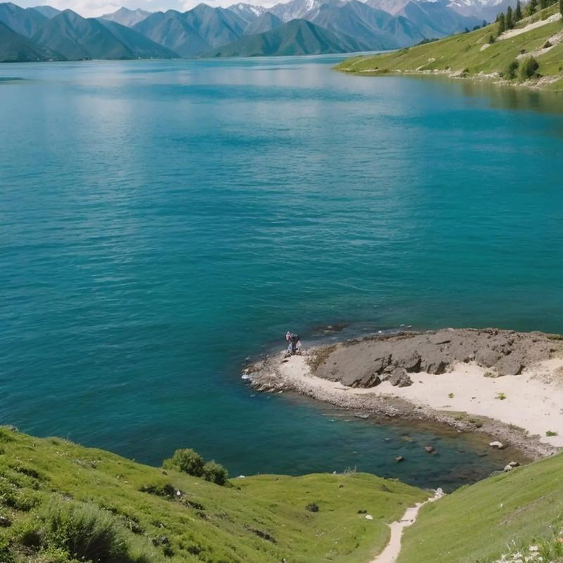 画板 1 拷贝 4.jpg