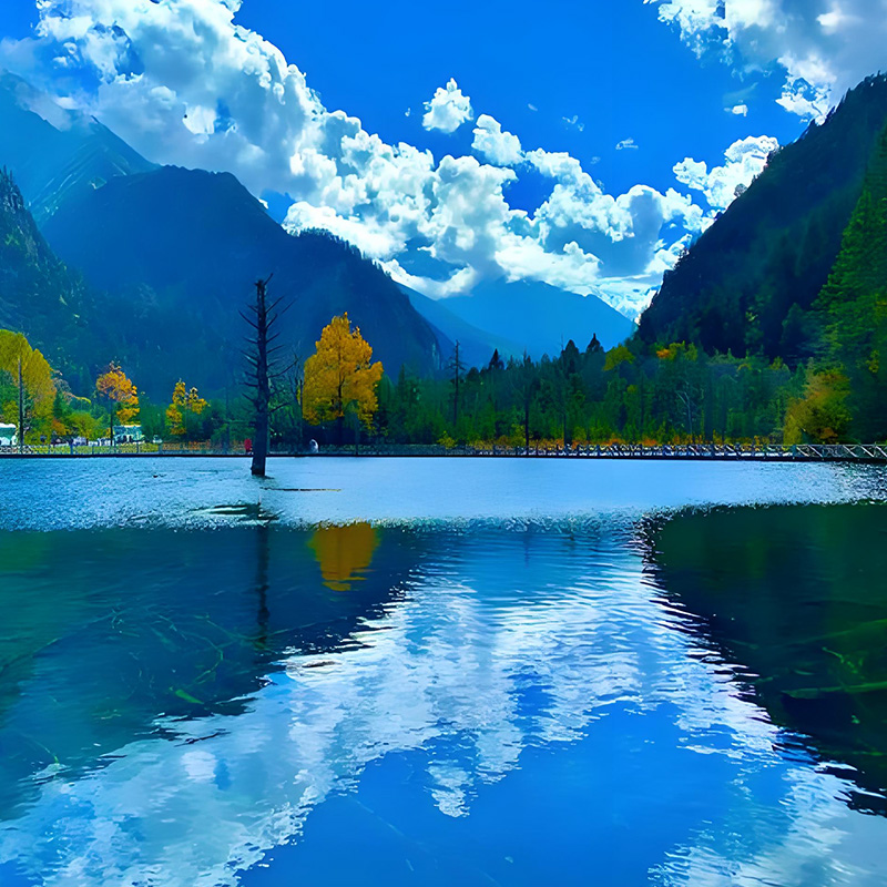 毕棚沟.jpg 毕棚沟.jpg