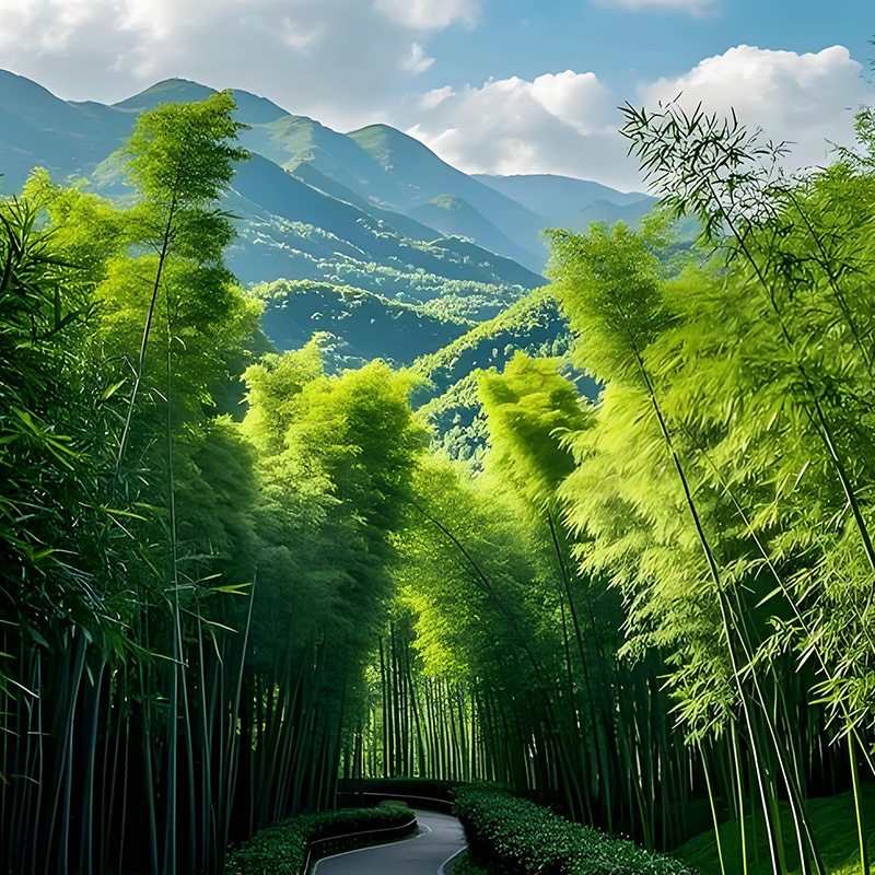 蜀南.jpg 蜀南.jpg