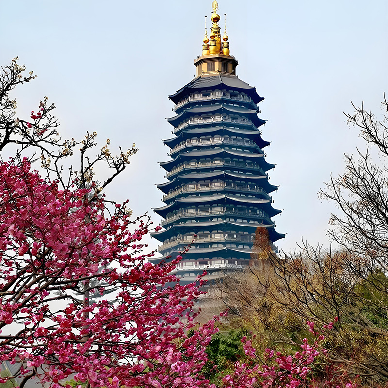 红梅公园.jpg