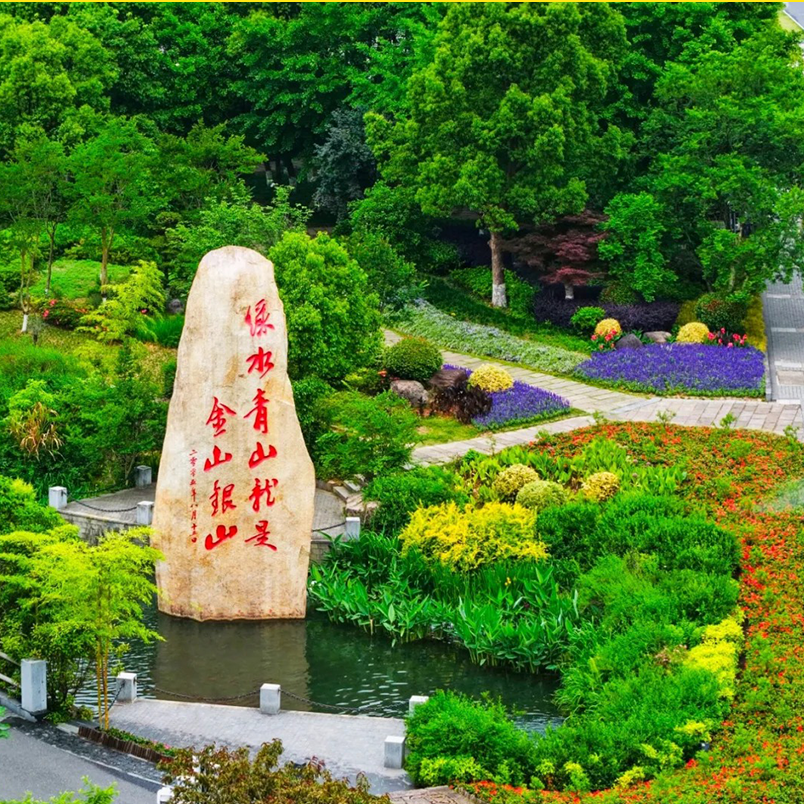 画板 2 拷贝 2.png